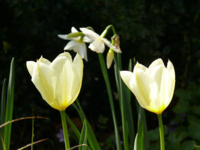 P1100477.jpg