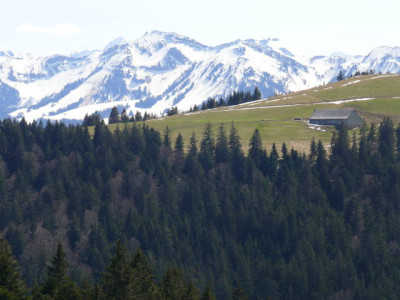 P1100558.jpg
