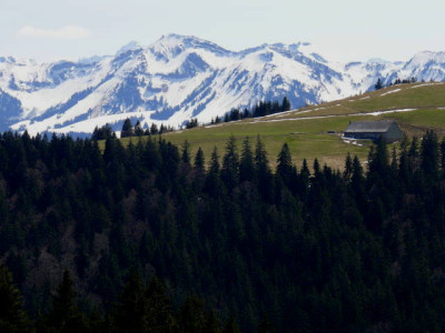 P1100558a.jpg