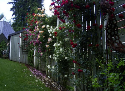 2006_06_27_07_29.jpg