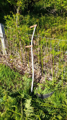 IMG-20220615-WA0010.jpeg