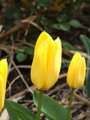 DSCF6479.jpg