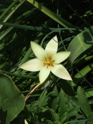 DSCF6669.jpg