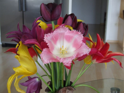 DSCF6693.jpg