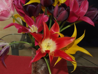 DSCF6695.jpg
