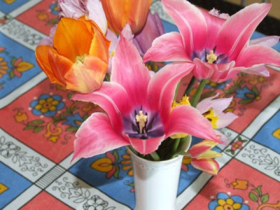 DSCF6699.jpg