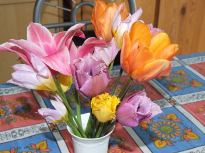 DSCF6706.jpg