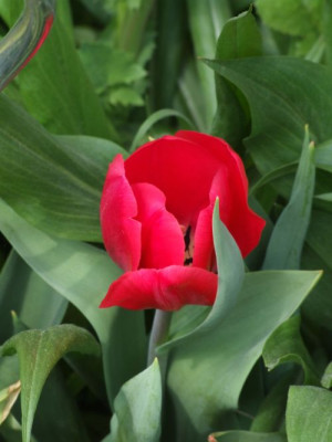 DSCF6743.jpg