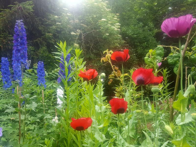 20220617_093048.jpg