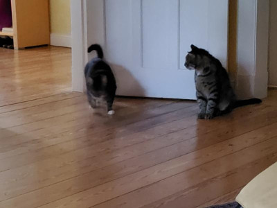 20220617_200441.jpg