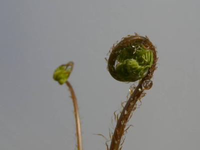 P1100578.jpg