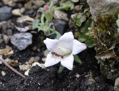 DSC_5345_DxO.jpg