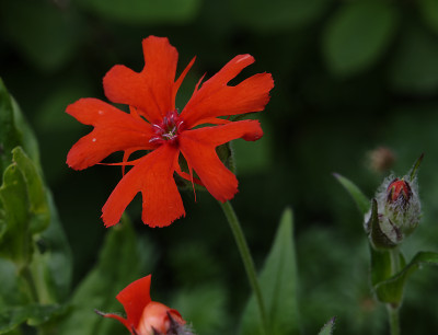 DSC_5347_DxO.jpg