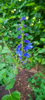 20220619_073822.jpg
