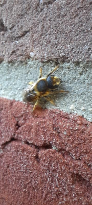 20220621_070335.jpg