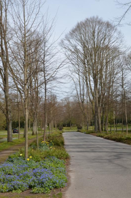 Friedhof.22.1-7.jpg