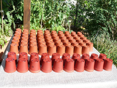 220623_Töpfchen 401 bis 479.jpg