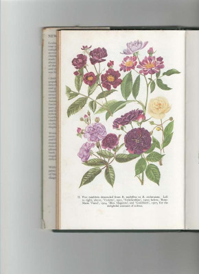 Scan_20220624 (2).png