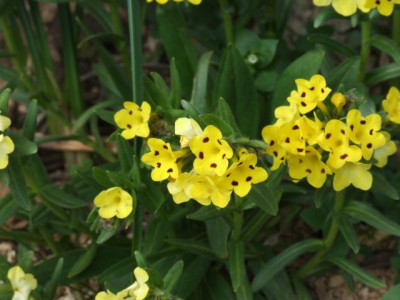 DSCF6469.jpg