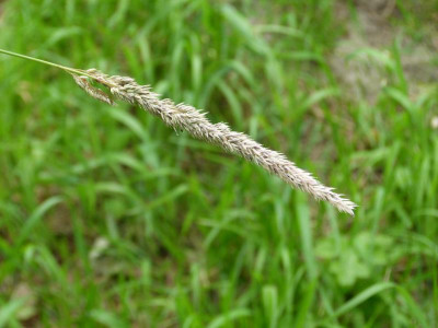 P1090097.JPG