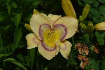 DSC_0631.JPG