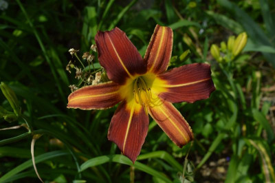 DSC_0640.JPG