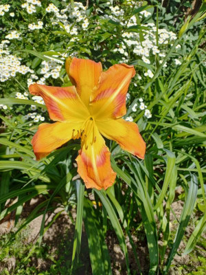 20220628_090553.jpg