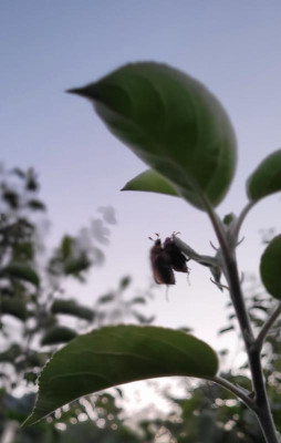 20220628_221130.jpg