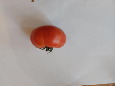 20220701_174024.jpg