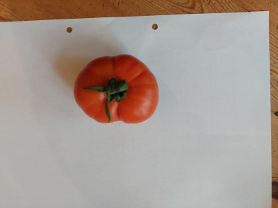 20220701_174020.jpg