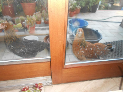 DSCN4412.JPG