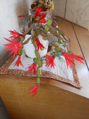 DSCN4363.JPG