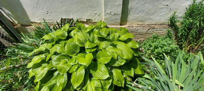 20220629_112356.jpg
