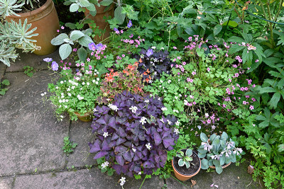 Sommerarrangement-Jul0222_003_00001.jpg