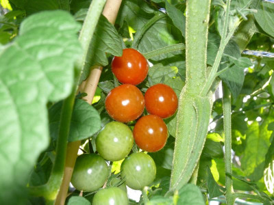 220703_Philamina.jpg