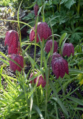 2008-04-26_005.JPG