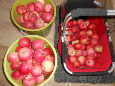 DSCN4431.JPG