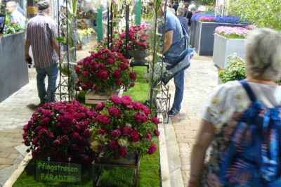 Landesgartenschau Beelitz 2022 303.jpg