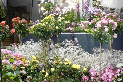 Landesgartenschau Beelitz 2022 492.jpg