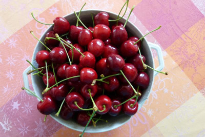 P1090229.JPG