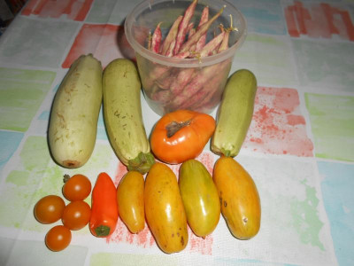 DSCN4481.JPG