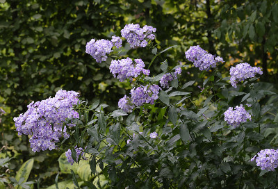 DSC_5764_DxO.jpg