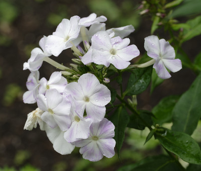 DSC_5765_DxO.jpg