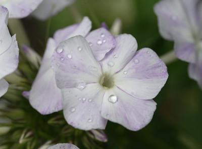 DSC_5766_DxO.jpg
