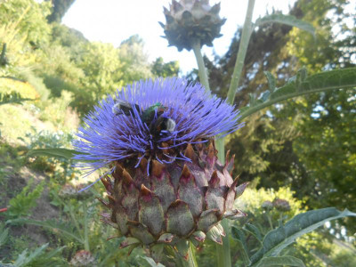 DSCN4440.JPG