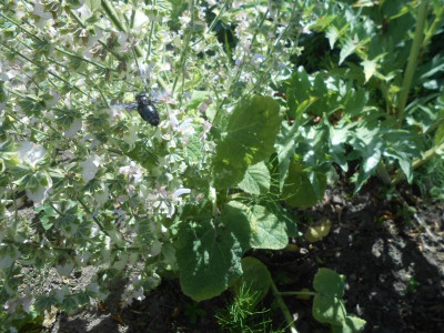 DSCN4446.JPG