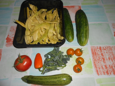 DSCN4516.JPG