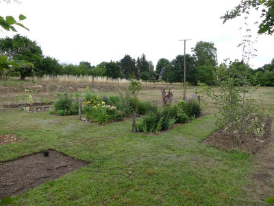 2022-07-10 Garteneinblick 29.jpg