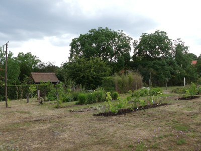 2022-07-10 Garteneinblick 31.jpg