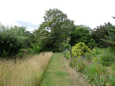2022-07-10 Garteneinblick 24.jpg